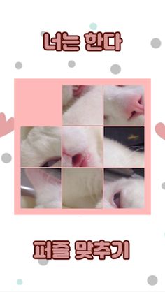 이것은 이다. 이미지퍼즐 - Screenshot 1