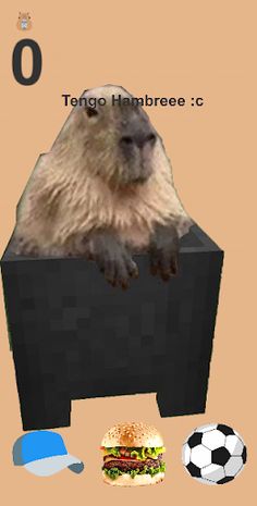 Cuida a Capybara - Screenshot 2