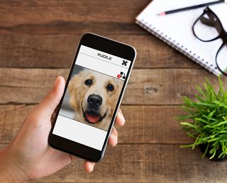 Dog Slide Puzzle - Screenshot 1