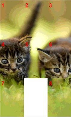 kitties Puzzle - Screenshot 2