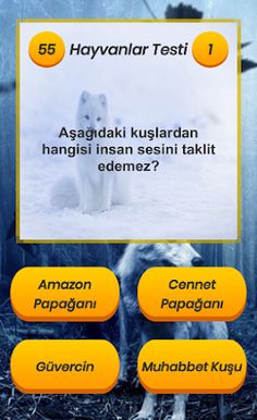 Hayvanlar Testi - Screenshot 2