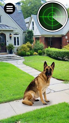 Collect Pocket Dogs - Screenshot 2