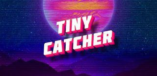 Tiny Catcher - Screenshot 1