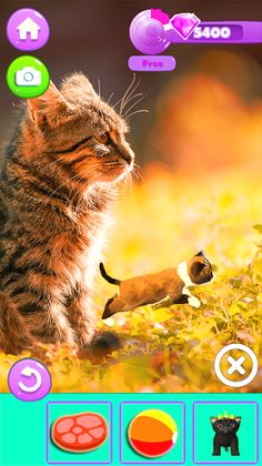 My Augmented Reality Kitty - Screenshot 1