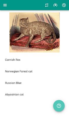 Cat breeds (quiz) - Screenshot 2