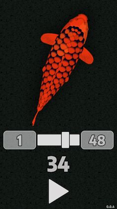 Koi Puzzle - Screenshot 4