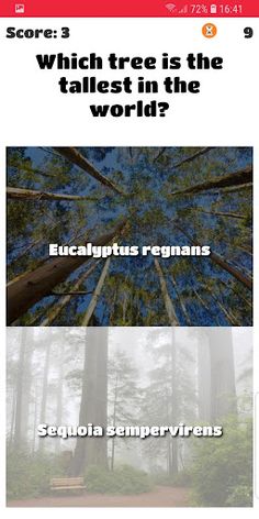 Do you know it? - Screenshot 3