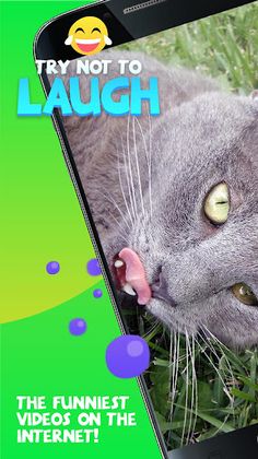 Try Not To Laugh Challenge - Screenshot 1