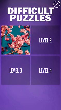 Difficult Puzzles - Screenshot 1