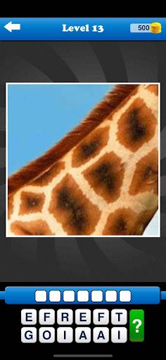 Guess the Close Up Pics Quiz - Screenshot 4