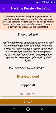 Hacking Puzzle - Screenshot 3