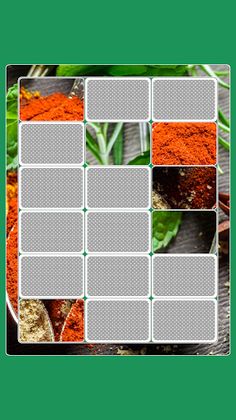 Vistalgy® Puzzles - Screenshot 2