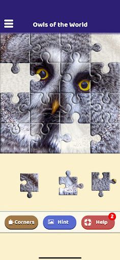 Owls of the World Puzzle - Screenshot 2