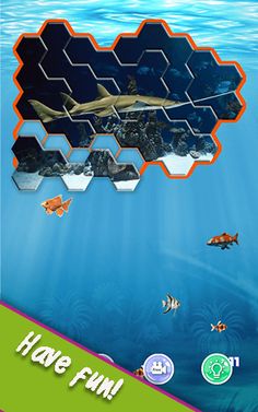 Block Hexa - Underwater Jigsaw - Screenshot 4