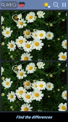 Differences - Find them - Screenshot 4