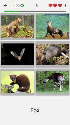 Animals Quiz Learn All Mammals - Screenshot 2