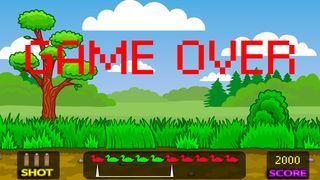 Duck Hunt - Screenshot 1