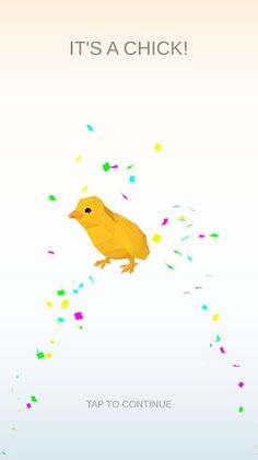 What Is This? - Screenshot 3