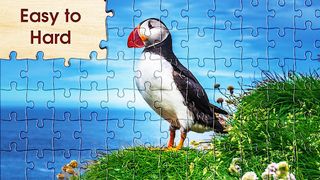 Jigsaw Puzzle HD 2023 Pro - Screenshot 1