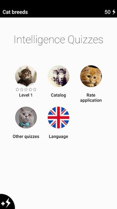 Cat breeds - Photo Quiz - Screenshot 2