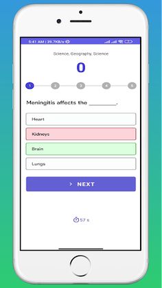 The Impossible Quiz 2 - Screenshot 4