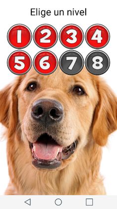 Picture Macth Game -Memory - Screenshot 2