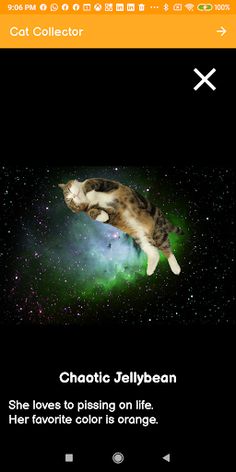 Cat Collector - Screenshot 4