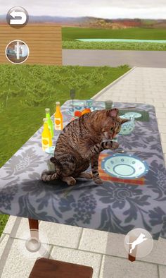 Talking Somali Cat - Screenshot 4