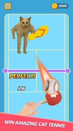 Tennis Cat - Funny Meme Cat - Screenshot 1