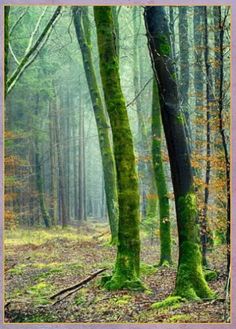 Spin Puzzle 3 Pro - Screenshot 3