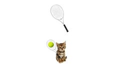 Tennis Cat - Screenshot 3