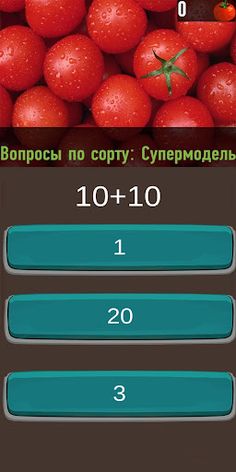 Rijk Zwaan: Tomato Quiz - Screenshot 2