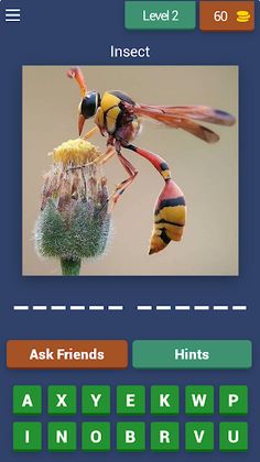 Insect Quest: Trivia Challenge - Screenshot 3