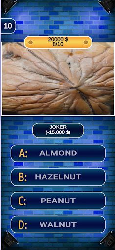 Who Am I - Screenshot 4