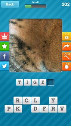 Close Up Pics - Fun Word Games - Screenshot 2