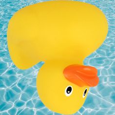 Pato Girando - Screenshot 3