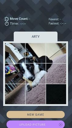 Slide a dog - Screenshot 1