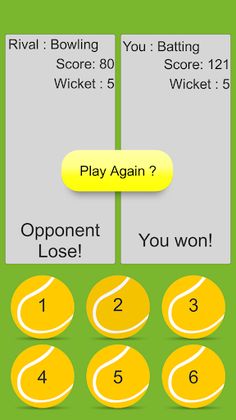 Star Hand Cricket - Screenshot 3