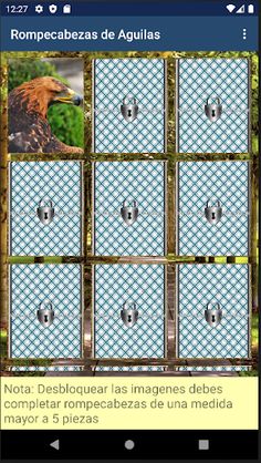 Rompecabezas de Aguilas - Screenshot 2
