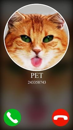 fake incoming call pet game - Screenshot 3