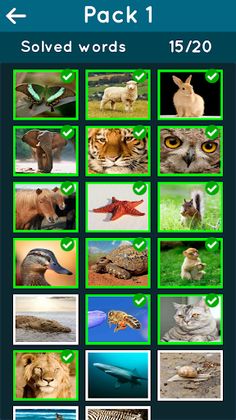 Animal Kingdom Guessing Game - Screenshot 3
