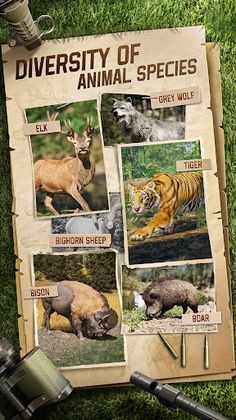 Hunting Sniper - Screenshot 1