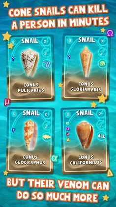 Assassins of the Sea - Screenshot 1