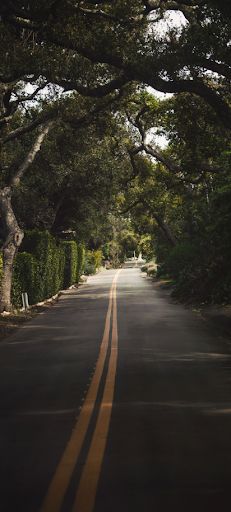 Verdant meadows and fields - Screenshot 2