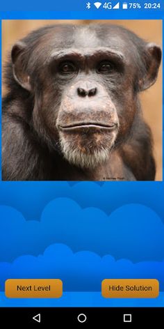 Schiebe-Puzzle Tiere - Screenshot 1