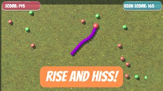 Python Pursuit: The Snake Game - Screenshot 3