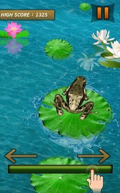 Frog Jumping Mania - Screenshot 3