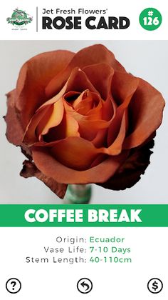 Name That Rose - Screenshot 3