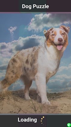 Dog Puzzle - Screenshot 1