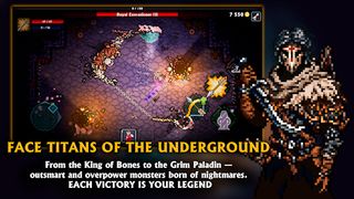 Pocket Rogues - Screenshot 2